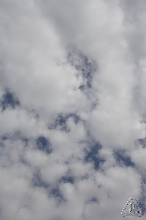 2013 Svojek Mirek Topinka